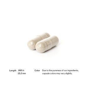 Thorne Basic Prenatal 90 kapslar 2